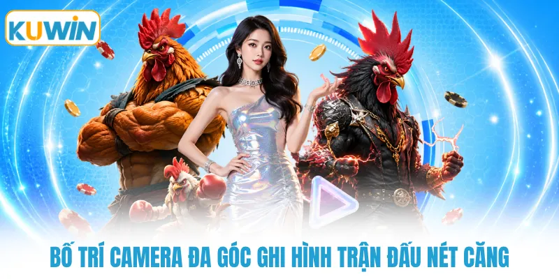 bo tri camera da goc ghi hinh tran dau net cang Bố trí camera đa góc ghi hình trận đấu nét căng