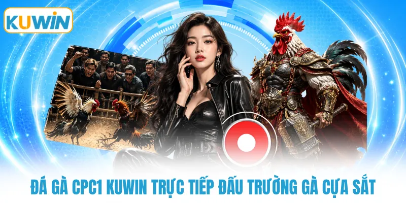 Đá gà CPC1 KUWIN trực tiếp đấu trường gà cựa sắt