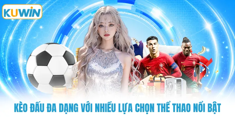 keo dau da dang voi nhieu lua chon the thao noi bat Kèo đấu đa dạng với nhiều lựa chọn thể thao nổi bật