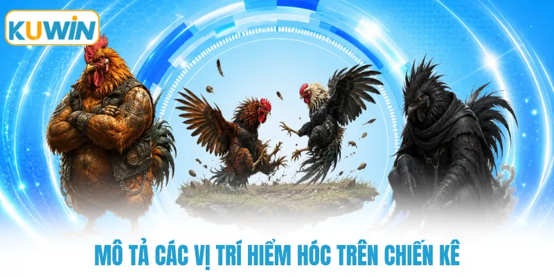 Mô tả các vị trí hiểm hóc trên chiến kê