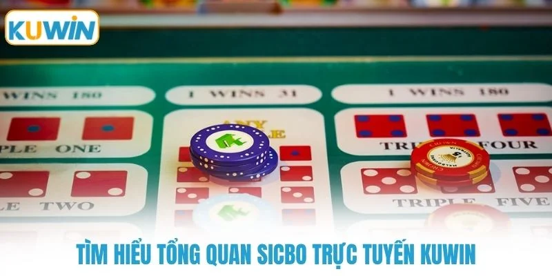 tim hieu tong quan sicbo truc tuyen kuwin Tìm hiểu tổng quan sicbo trực tuyến KUWIN