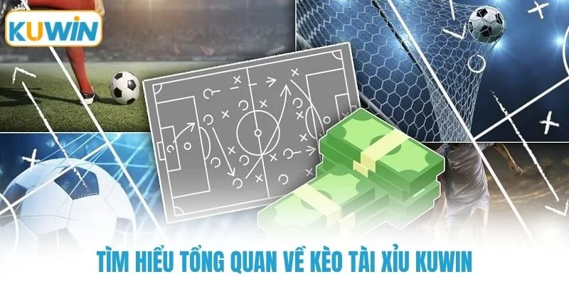 tim hieu tong quan ve keo tai xiu kuwin Tìm hiểu tổng quan về kèo tài xỉu KUWIN